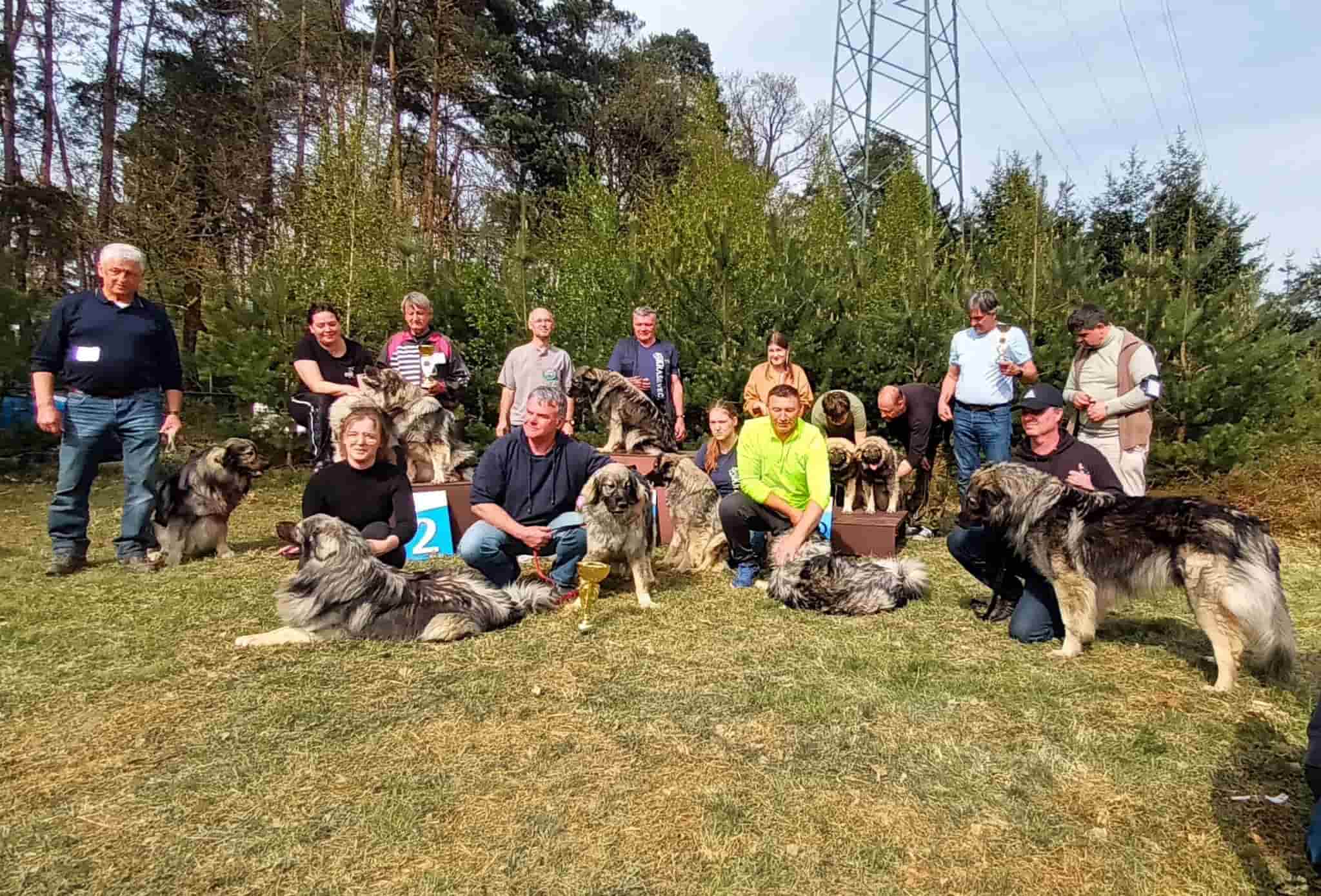 specialna razstava za kraške ovčarje